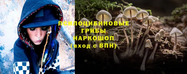 мескалин Ладушкин