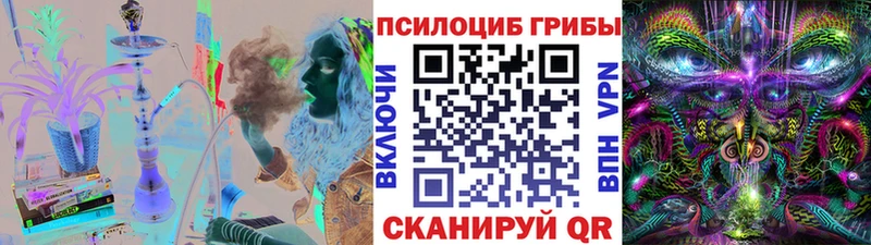 Галлюциногенные грибы Psilocybine cubensis  Петровск 